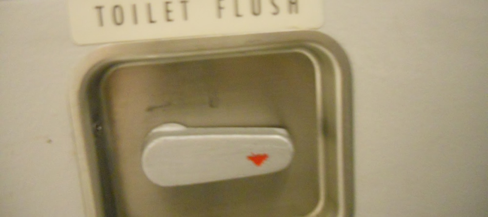 An elongaged lever in horisontal angle. Above it, the text Toilet Flush, on the lever a red arrow pointing down.