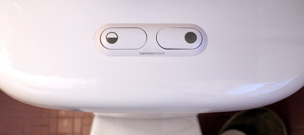 A Carema toilet with two elongated buttons on top of the water tank. The buttons have a symbol for half and full on them.