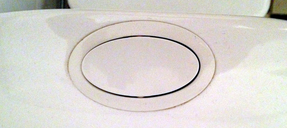 Elongated levered flush button on top of water tank. There are no symbols on the button.