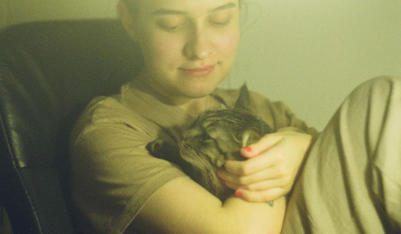 Cat in arms of a person